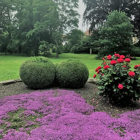 公寓 Am Hofjaegerhaus *