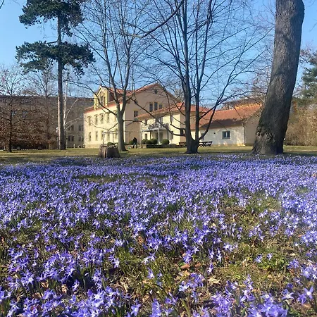 Apartament Am Hofjaegerhaus *